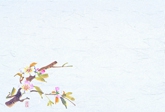 222-5 四季紙千寿 桜